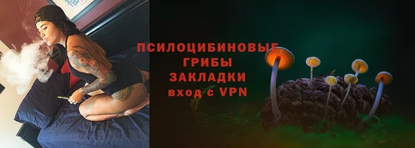 дживик Верея