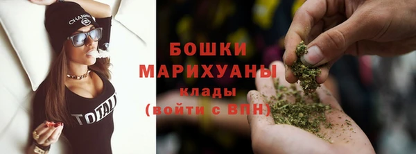 мдпв Верхний Тагил