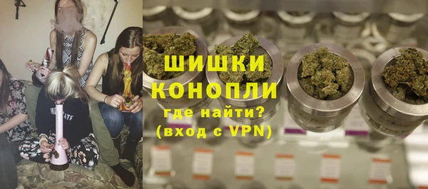 дживик Верея