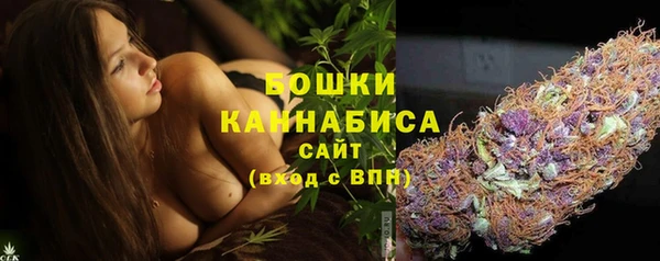 мдпв Верхний Тагил