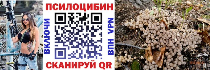 Купить где  Краснокамск  Галлюциногенные грибы Psilocybine cubensis 
